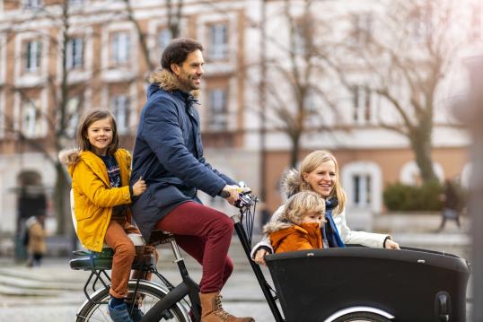 Case study: family cargo bike