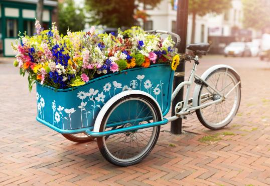 Case study image: cargo bike